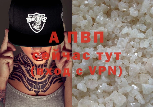крисы Алзамай