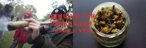 дурь Рославль