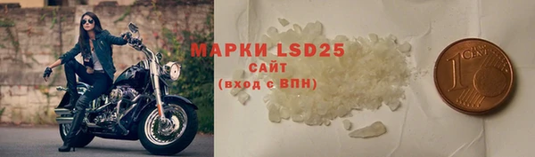 крисы Алзамай