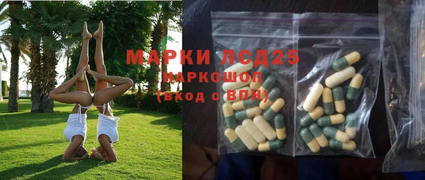 крисы Алзамай