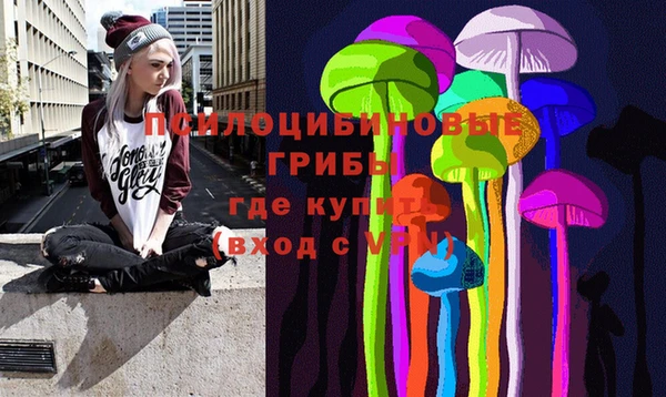 герыч Россошь