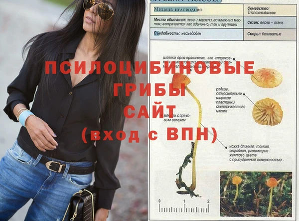 стаф Алексеевка
