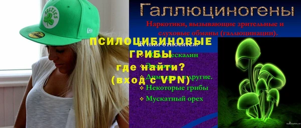 крисы Алзамай