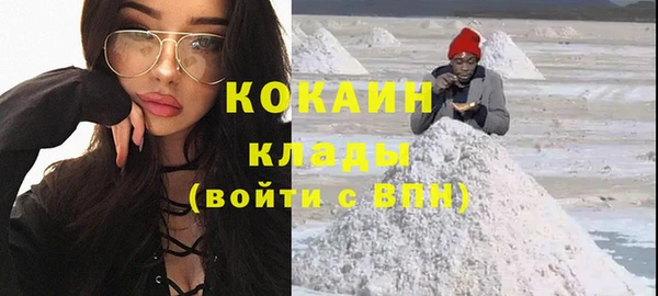 ешки Алексин