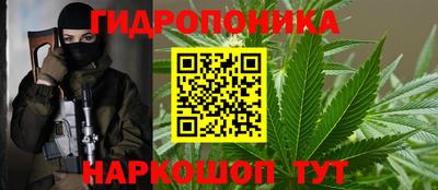 гидропоника Боровичи