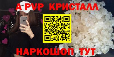 СК Брянск