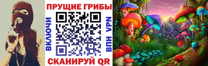Псилоцибиновые грибы ЛСД  Богородск 
