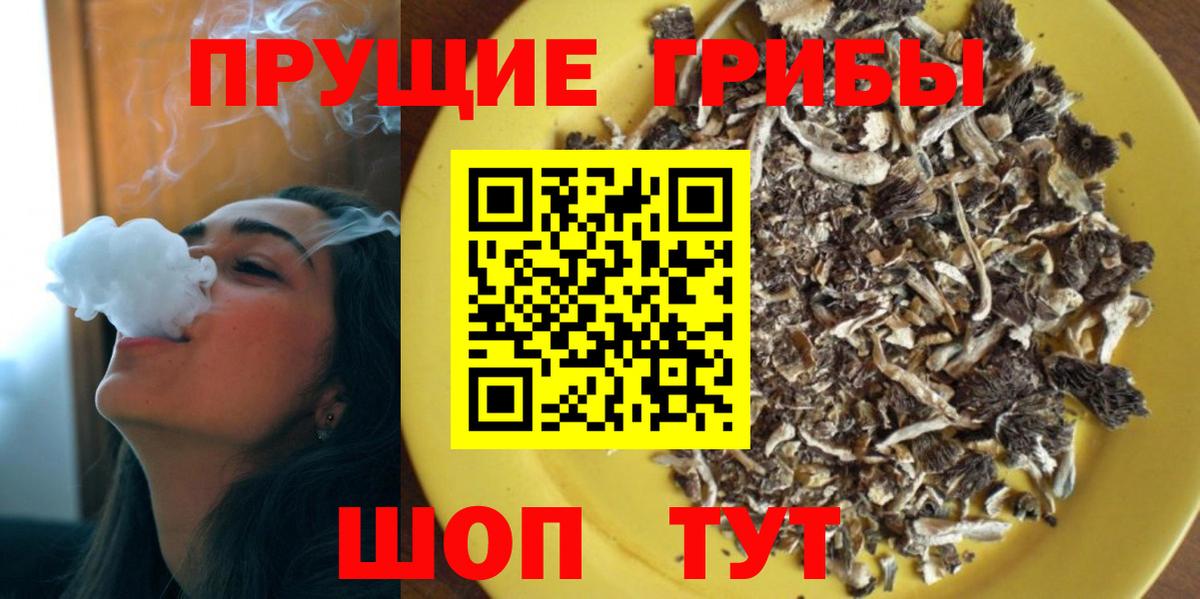 цена наркотик  Вход с VPN  Богородск  Галлюциногенные грибы Psilocybine cubensis 